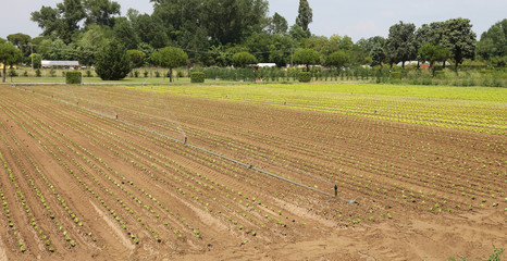Automatic irrigation system to water the fields