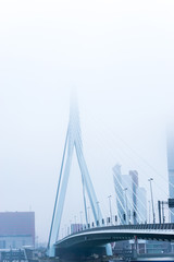 Fototapeta premium ROTTERDAM, Netherlands - February 7, 2017 : Street view of Port of Rotterdam, the nickname 