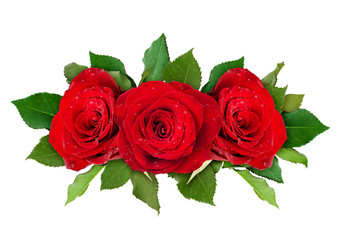 Obraz premium Red rose flowers arrangement