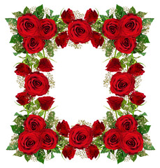 Red roses and gypsophila flowers frame