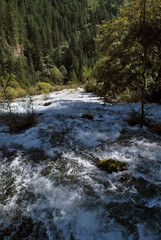 The beautiful juizhaigou valley (valley of nine villages) national park in china near tibet with amazing clear blue lakes and waterfalls.