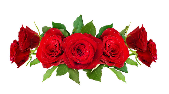 Red rose flowers line arrangemdent
