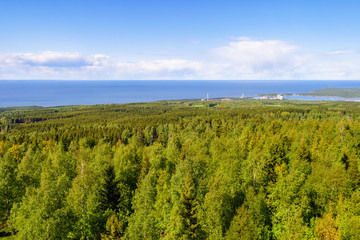 Aerial view of a forest and with a large lake