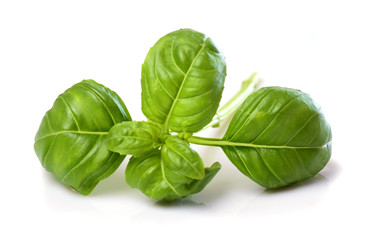 basil leaves