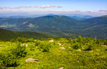 meadow with boulders in Carpathian mountains in summer