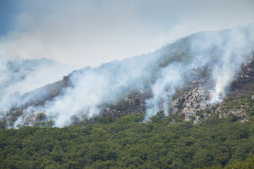 Huge forest fires on the mountains close to Herceg Novi and the bay of Kotor in Montenegro

