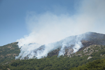 Huge forest fires on the mountains close to Herceg Novi and the bay of Kotor in Montenegro
