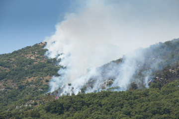 Huge forest fires on the mountains close to Herceg Novi and the bay of Kotor in Montenegro
