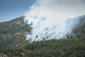 Obraz premium Huge forest fires on the mountains close to Herceg Novi and the bay of Kotor in Montenegro 