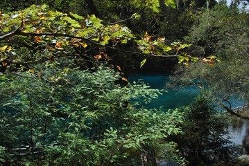 The beautiful juizhaigou valley (valley of nine villages) national park in china near Tibet with amazing clear blue lakes and waterfalls.