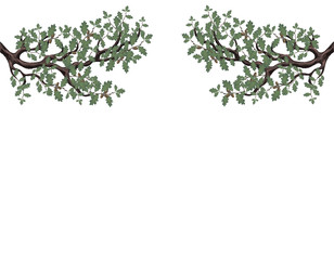 Two green branches of oak with acorns on both sides. Volumetric drawing without a grid and a gradient. Isolated on white background. illustration
