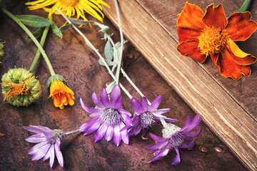 set with healthy herbs