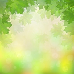 Green maple leaves on blurry background with sun rays. Vector illustration.