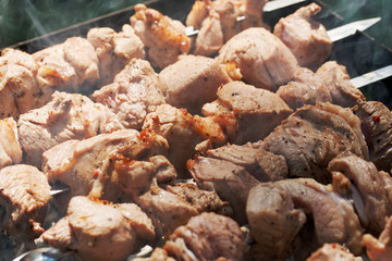 Appetizing shish kebab closeup on the grill
