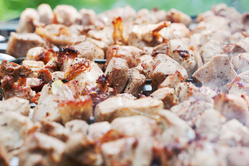Appetizing shish kebab closeup on the grill
