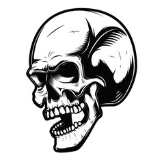 Human skull isolated on white background. Vector illustration
