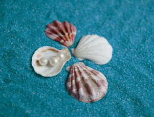 pearls and shells on blue sand
