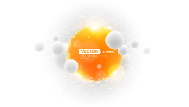 Abstract Bubbles Background with Round Label - Vector Design