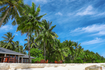 Fototapeta na wymiar Beach with beautiful tropical palms at resort