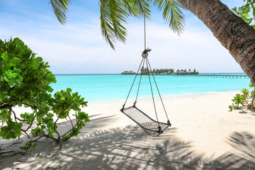 View of beach with swings at tropical resort