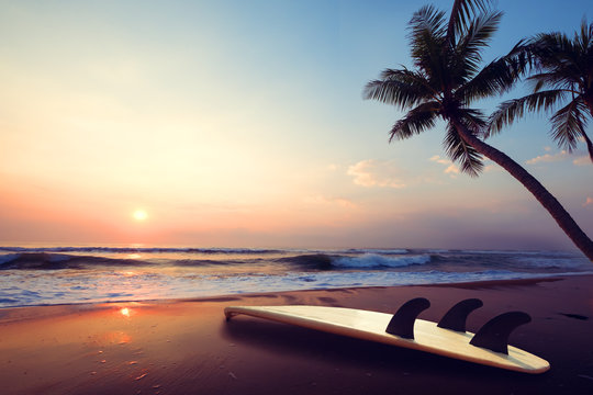 Silhouette surfboard on tropical beach at sunset in summer. landscape of summer beach and palm tree at sunset. Vintage color tone