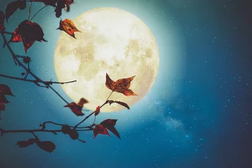 Fotobehang Beautiful autumn fantasy - maple tree in fall season and full moon with milky way star in night skies background. Retro style artwork with vintage color tone © jakkapan