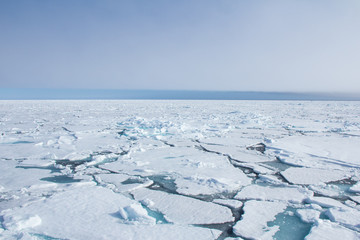 Arctic sea ice. - Powered by Adobe