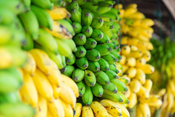 Close-up of green and yellow bananas hanging from the stem at a market stall in the city of Galle. Fruit sellers and greengrocers offer a variety of tropical fruits at the street markets. © ksl