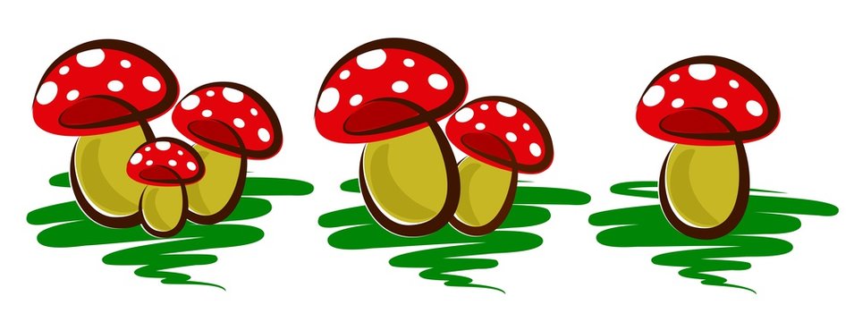 Logo of forest mushrooms. 