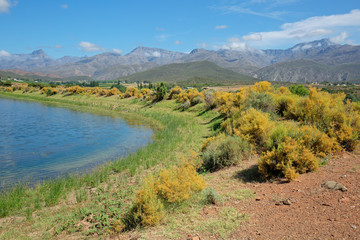 Rural landscape of farmland against a backdrop of mountains, Western Cape, South Africa.