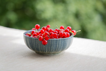 A bowl of redcurrant gooseberry berries macro closeup