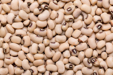 Assortment of Beans - Navy Bean