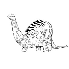 Vector - Apatosaurus Line Drawing Sketch