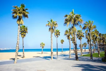 Papier Peint photo Plage et mer summer background - promenade, beach and palms in Barcelona