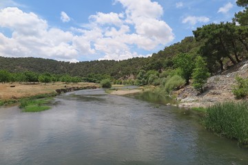 the river in the jungle