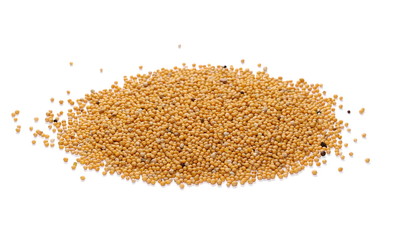 Yellow mustard seeds isolated on white background