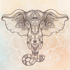 Beautiful hand-drawn tribal style elephant over mandala. Colorful design with boho pattern, psychedelic ornaments. Ethnic poster, spiritual art, yoga. Indian god Ganesha, Indian symbol.