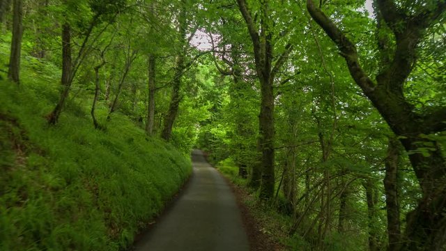 4k shot from a camera attached to the front of a vehicle driving on small countryside lanes in a forest in Wales