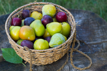 Fresh stone fruits cherries peaches plums on wooden table