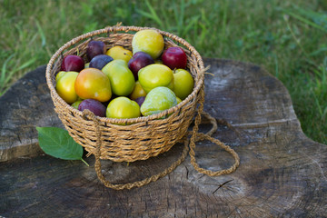 Fresh stone fruits cherries peaches plums on wooden table