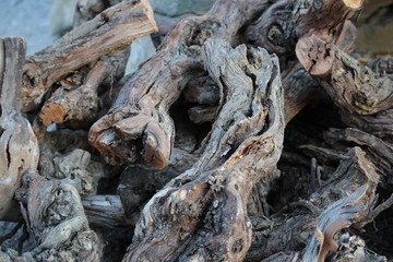 serment de vigne
