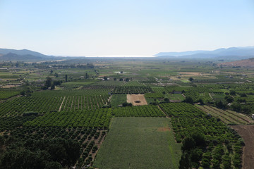 Fototapeta na wymiar aerial view of agricultural fields