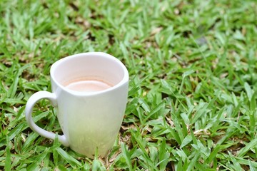 A cup of coffee in the morning garden