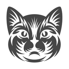 Cat head on a white background