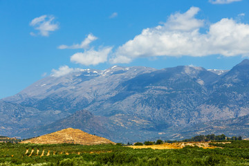 Obraz premium Beautiful mountain landscape with olive plantation, Crete Island, Greece
