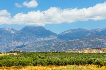 Fototapeta premium Beautiful mountain landscape with olive plantation, Crete Island, Greece