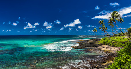 Tropical volcanic beach on Samoa Islands with palm trees, Upolu
