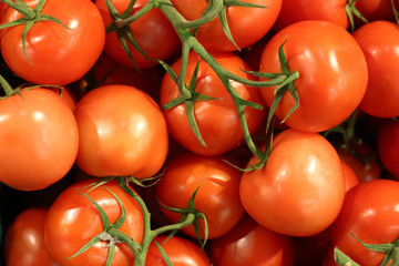 tomatoes on the market