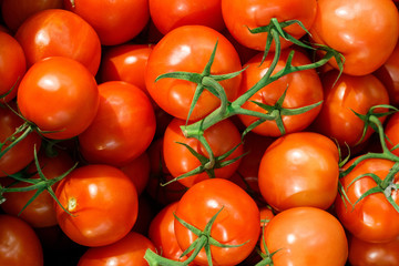 tomatoes on the market