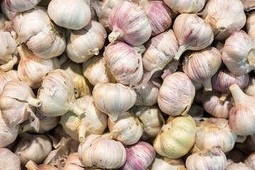 white garlic stacked in a local market
